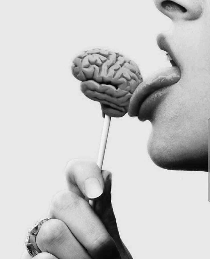 Your Brain Is Your Biggest Sex Organ