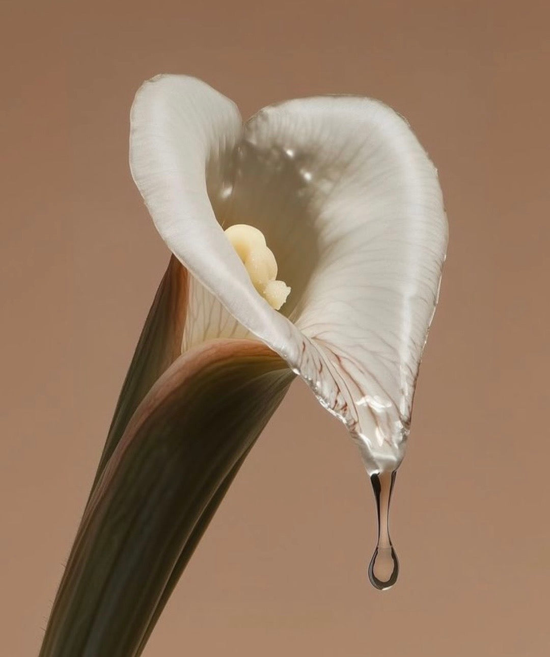 Wet Doesn't Mean Ready: The Truth About Female Arousal