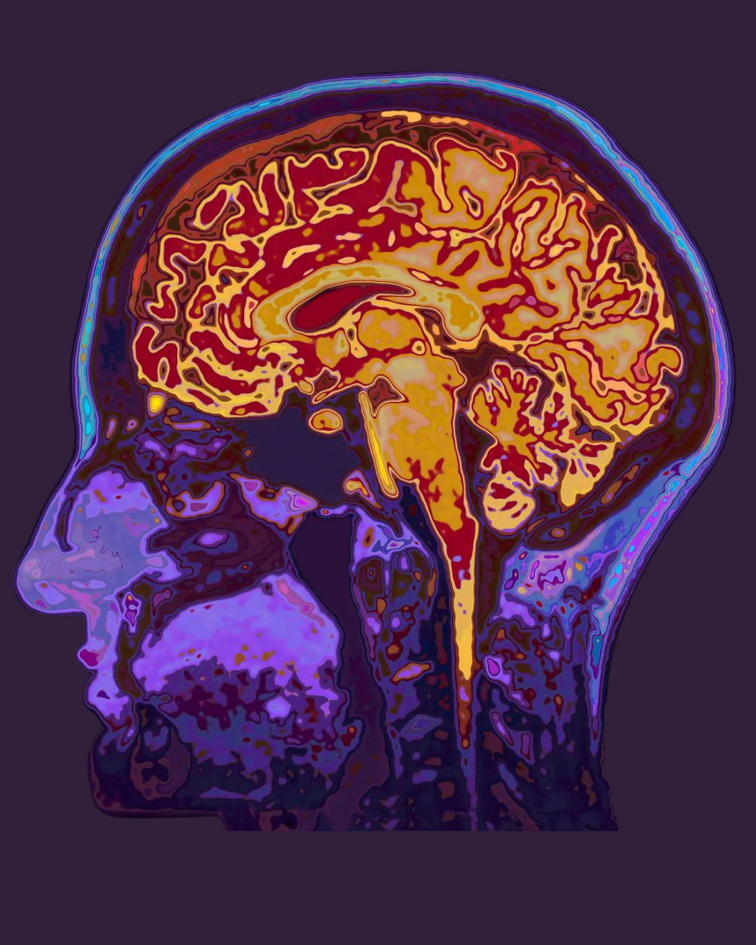 Your Brain Is Your Biggest Sex Organ