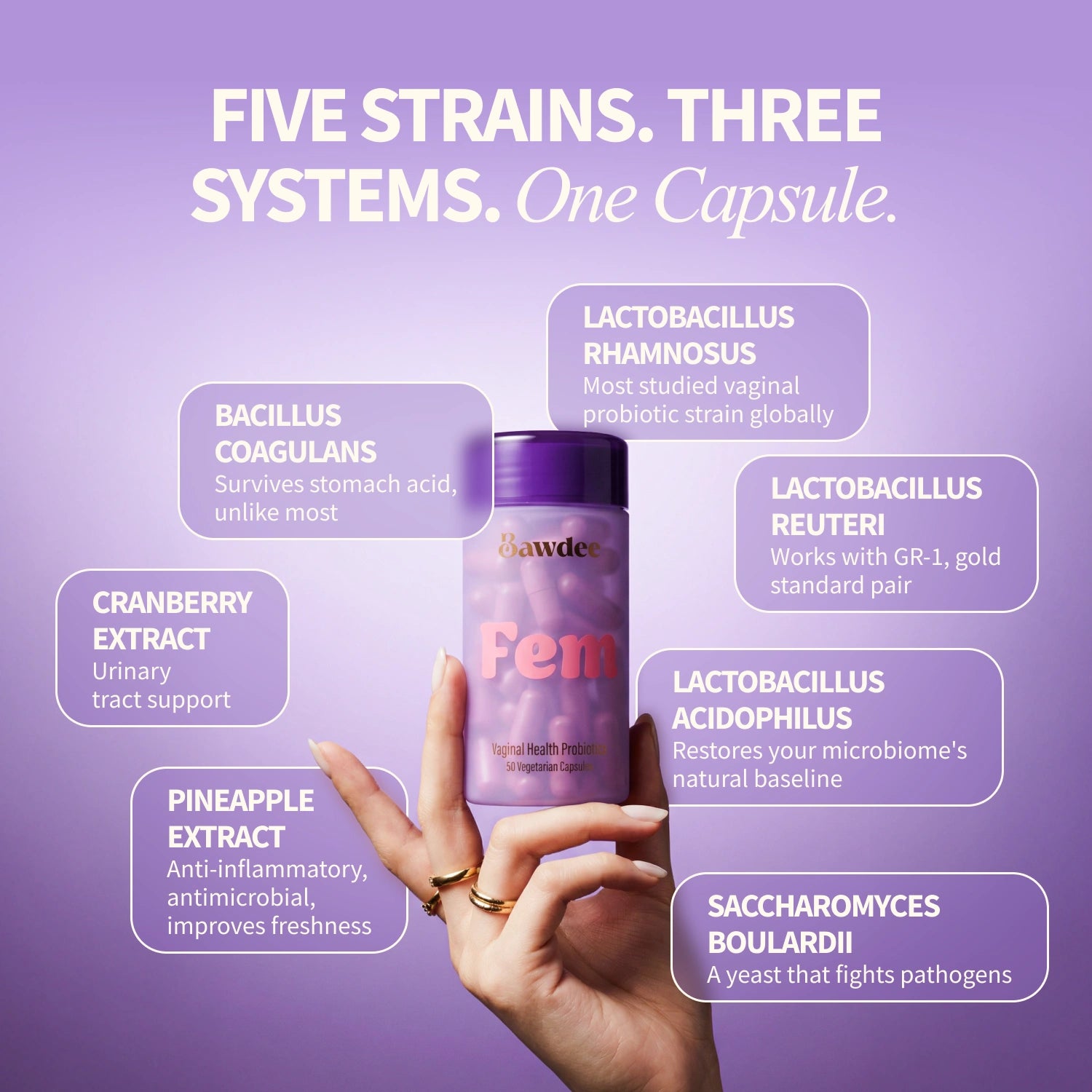 FEM Vaginal Health Probiotics
